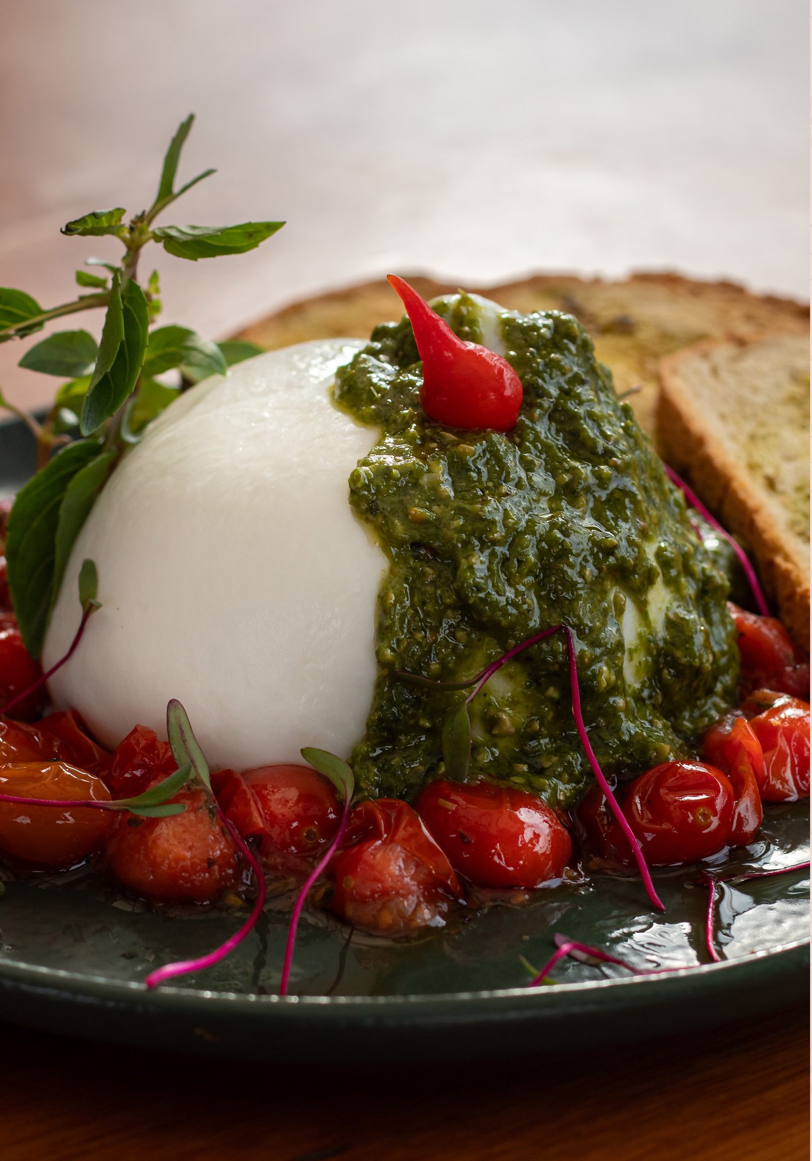 Burrata cremosa coberta de pesto verde e pimenta, sobre tomates cereja confitados num prato verde-escuro